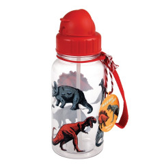 Dinosaur Kids Water Bottles