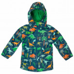 Children's Dinosaur Raincoat - 6 to 7 Years - Personalisable