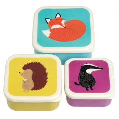 Kids Snack Boxes - Forest Friends