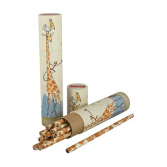 Roald Dahl Pencil Tube - The Giraffe and the Pelly and Me