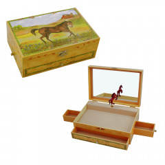 Horse treasure Box